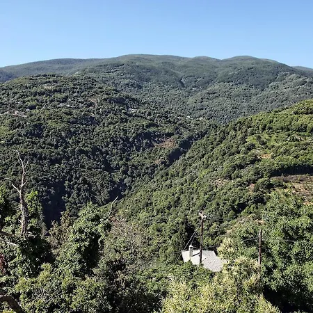 Theta Pelion Отель